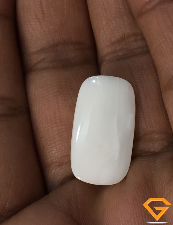 19.40 ratti/17.46 ct Natural Certified  White Coral/सफ़ेद मूंगा